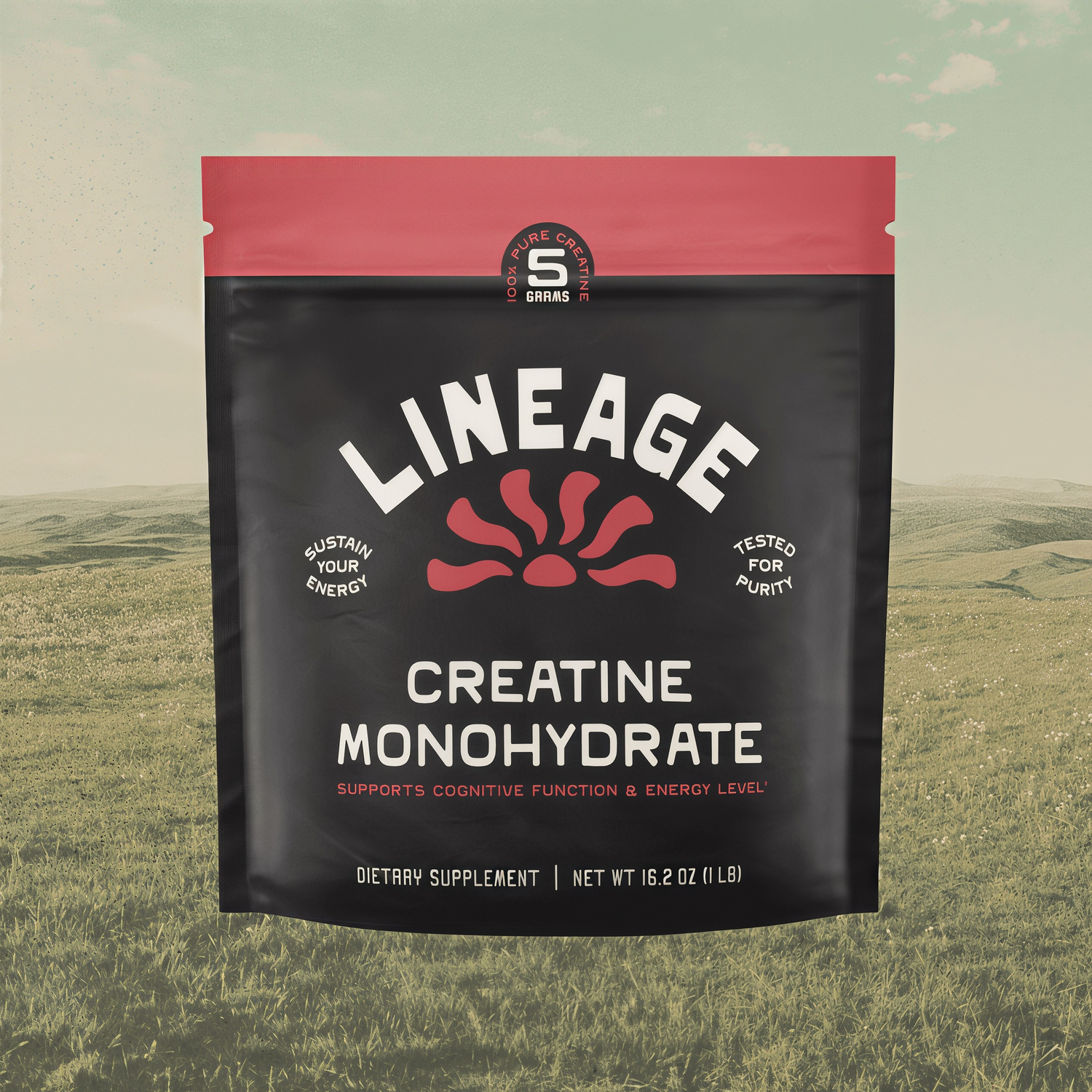 Lineage Provisions  Creatine Monohydrate